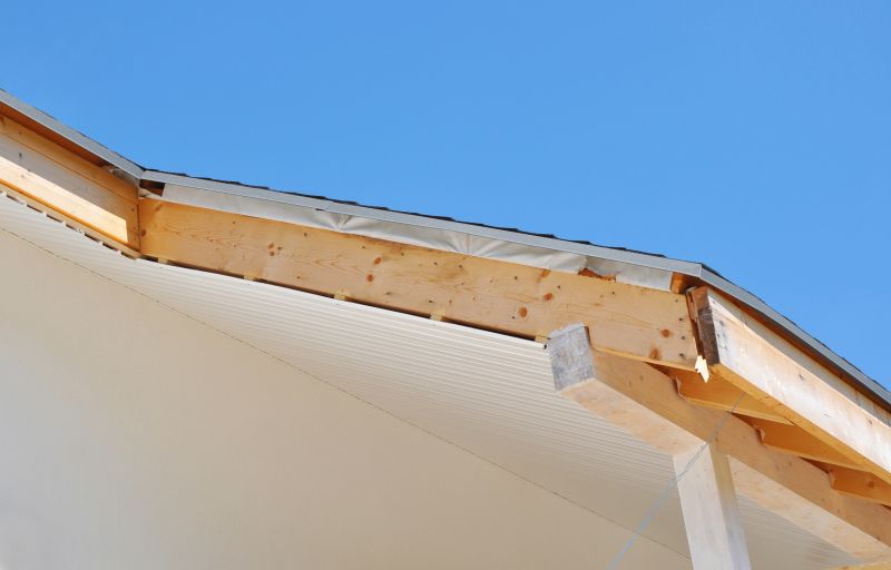 Rotted Fascia Repair in Olathe, KS